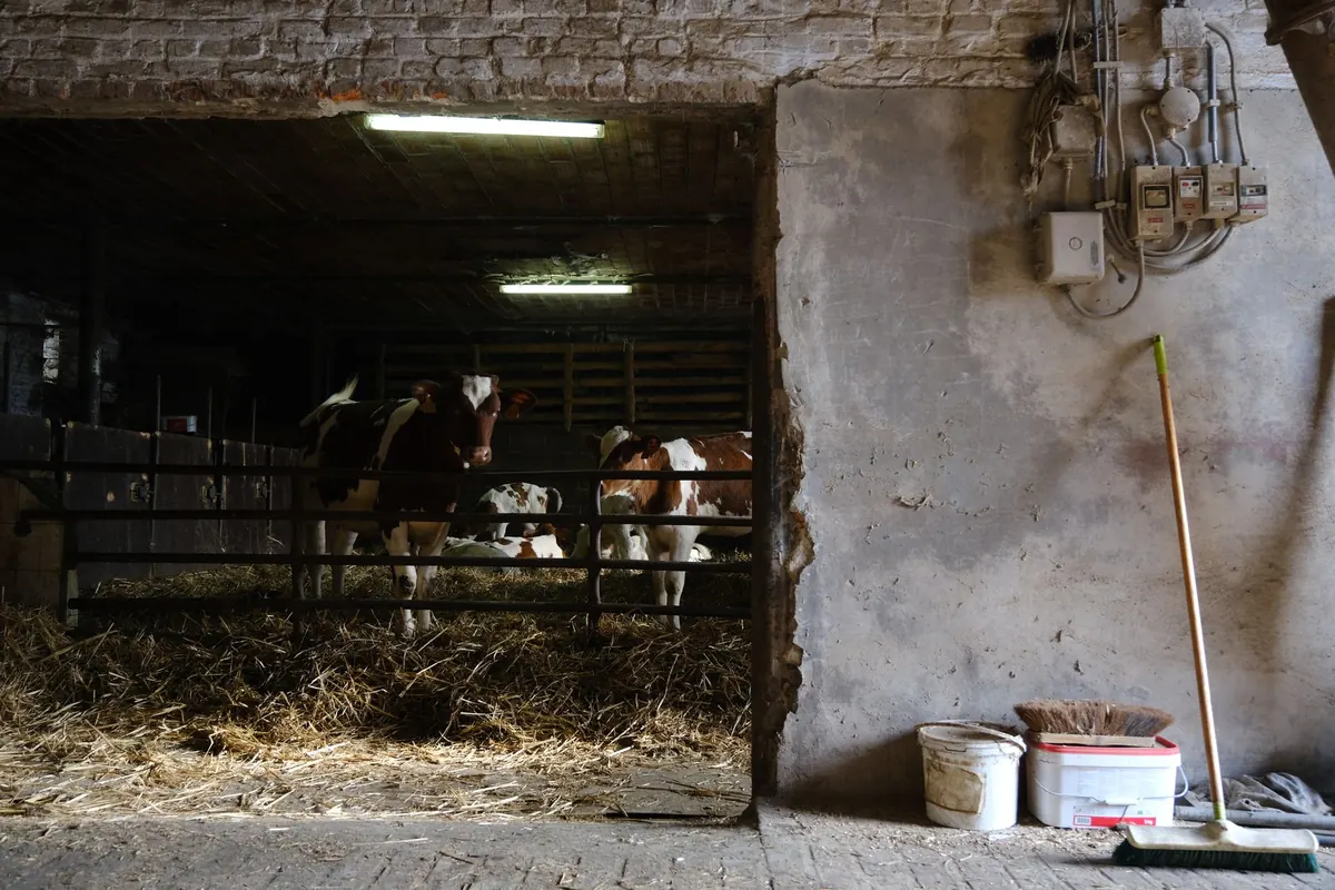 Common Mistakes When Converting a Historic Barn into a Home