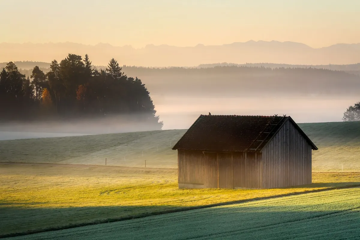 Dutch Gambrel vs. English Barn: A Side-by-Side Comparison for Heritage Property Owners